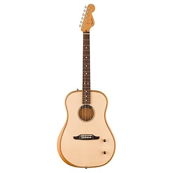 Fender エレアコ FENDER JAPAN (フェンダージャパン) エレアコギター EL RIO 動作